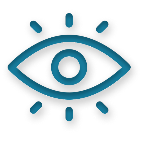 Vision Icon